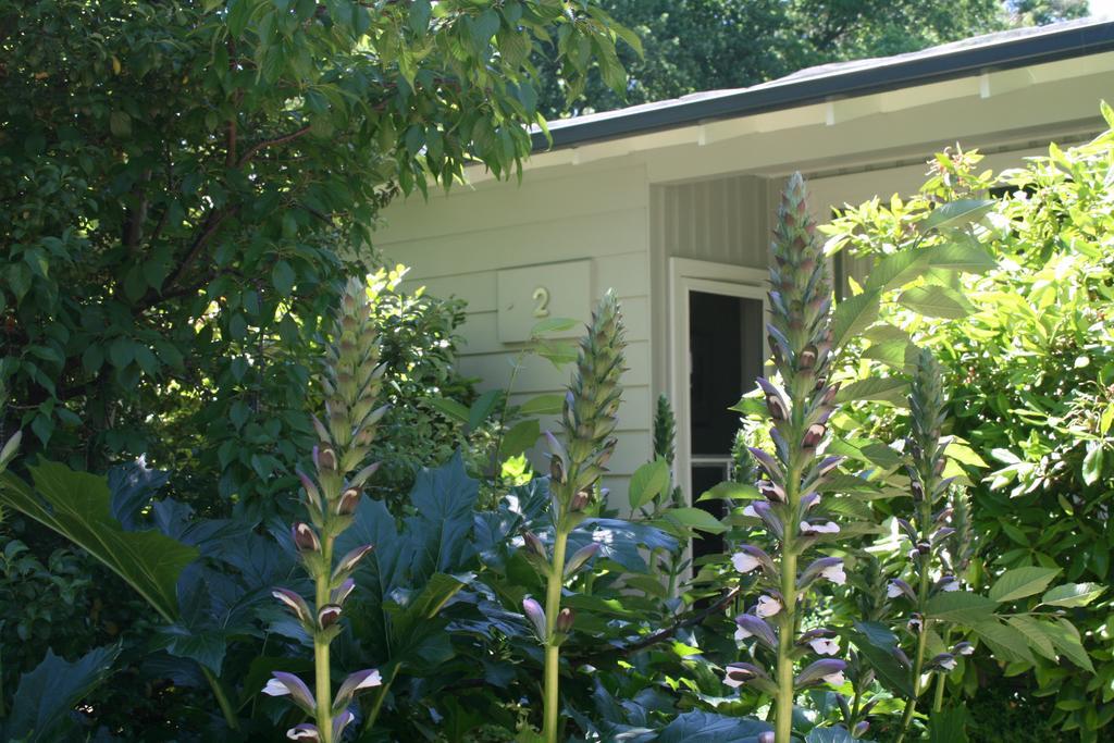 Elm Lodge Bright Exterior foto